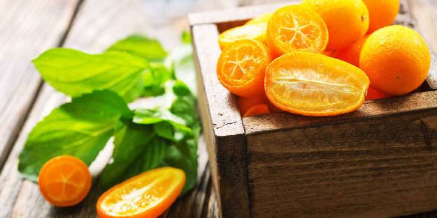 Mersin'de geliştirilen kumkuat türleri hem damağa hem de göze hitap edecek