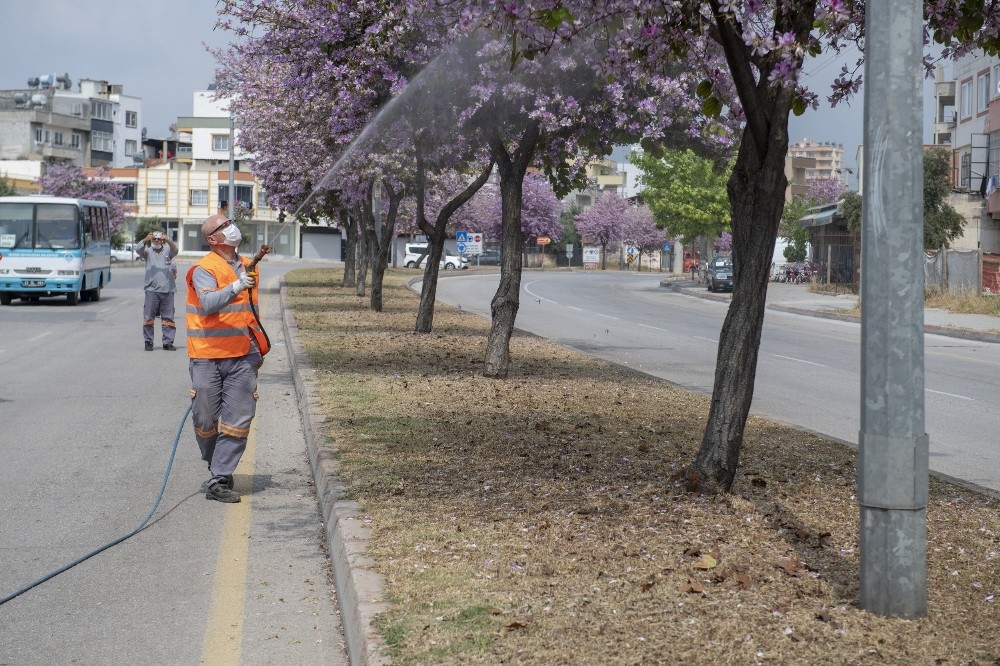 Mersin’de haşere ile mücadele çalışmaları sürüyor 
