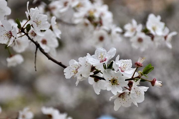 Mersin'de kartpostallık görüntü