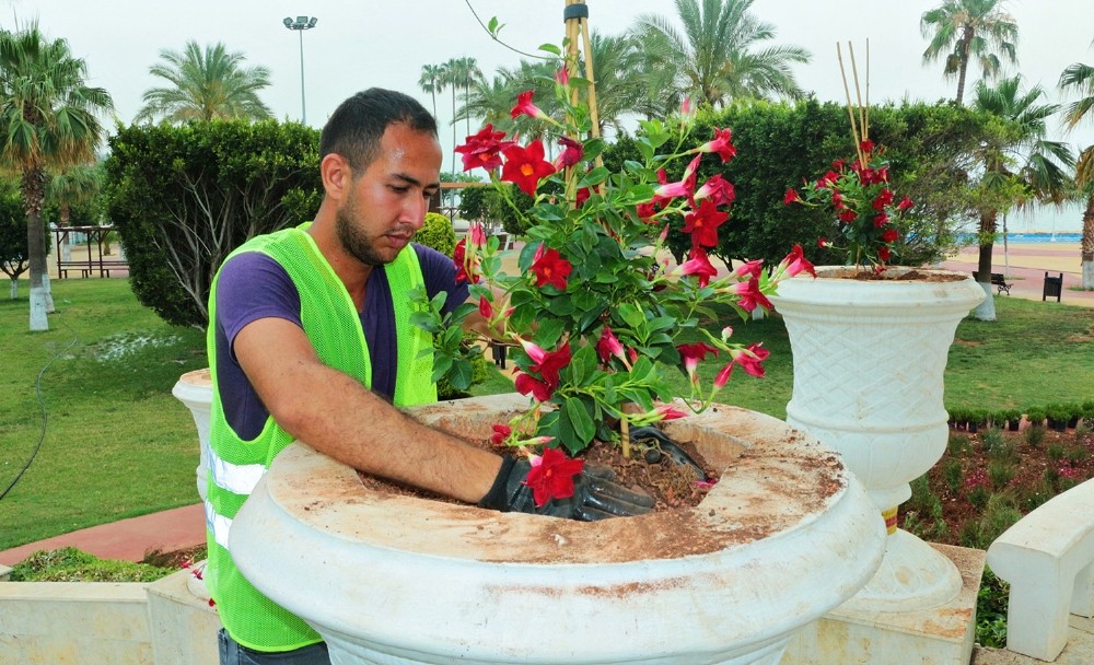 Mersin’de mevsimlik çiçek dikimi tamamlandı 