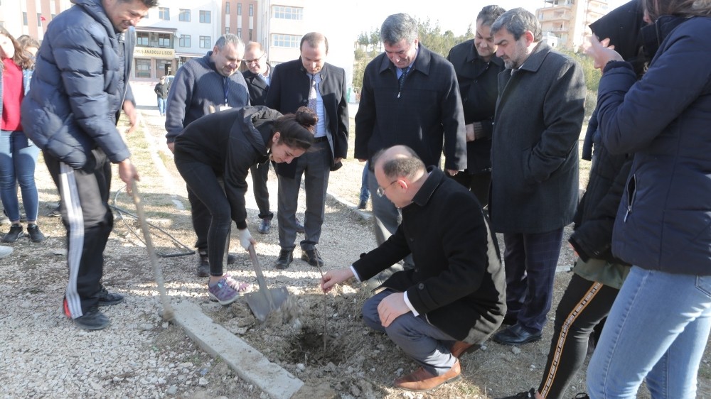 Mersin’de okul bahçelerine 400 hünnap fidanı dikildi 