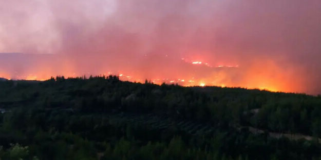 Mersin'de orman alevler içinde kaldı