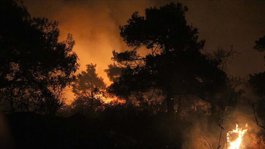 Mersin'de orman yangını çıktı