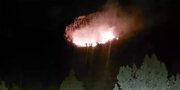 Mersin'de orman yangını çıktı