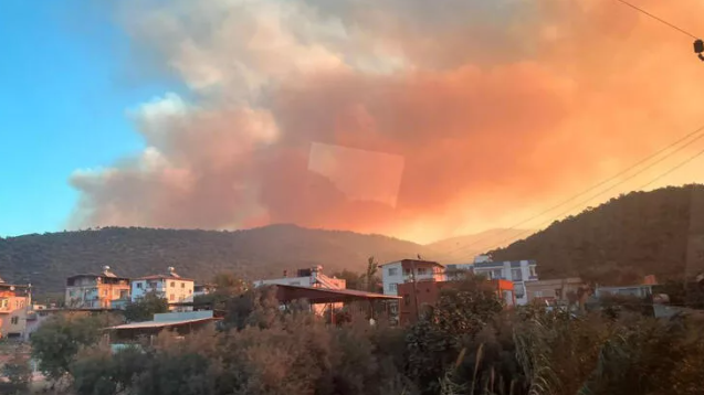 Mersin'de orman yangını!
