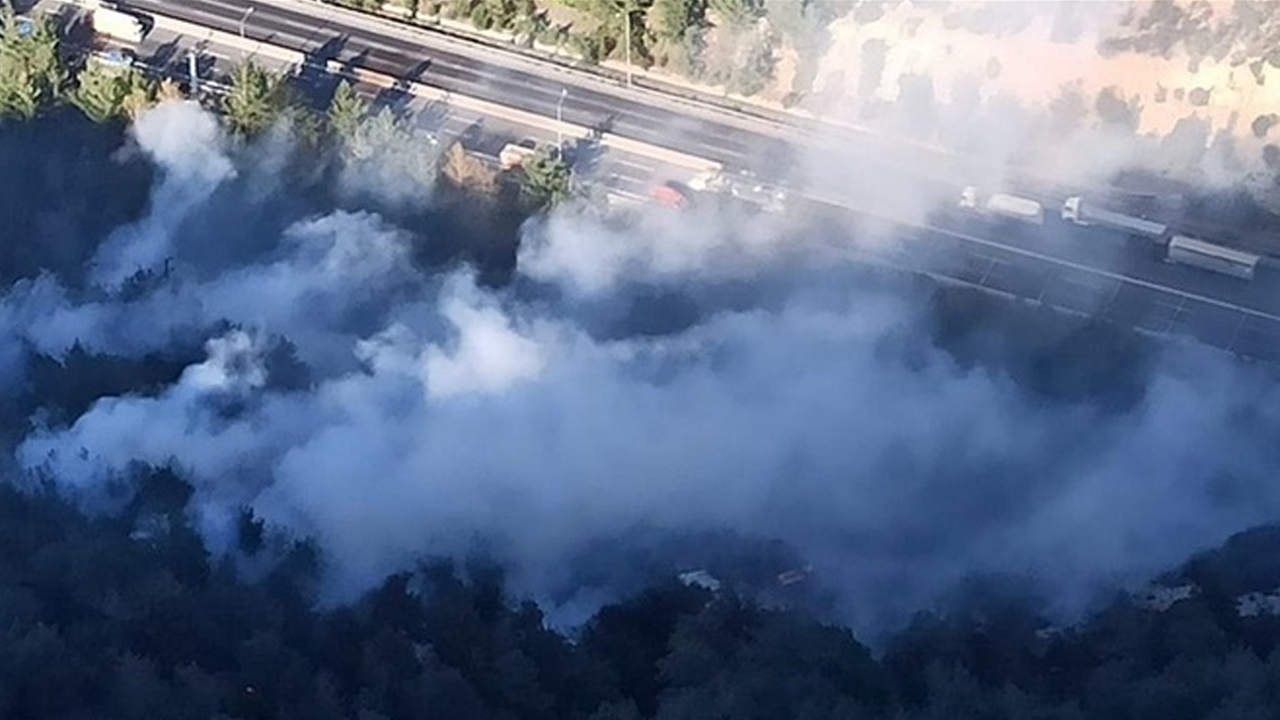 Mersin'de orman yangını!