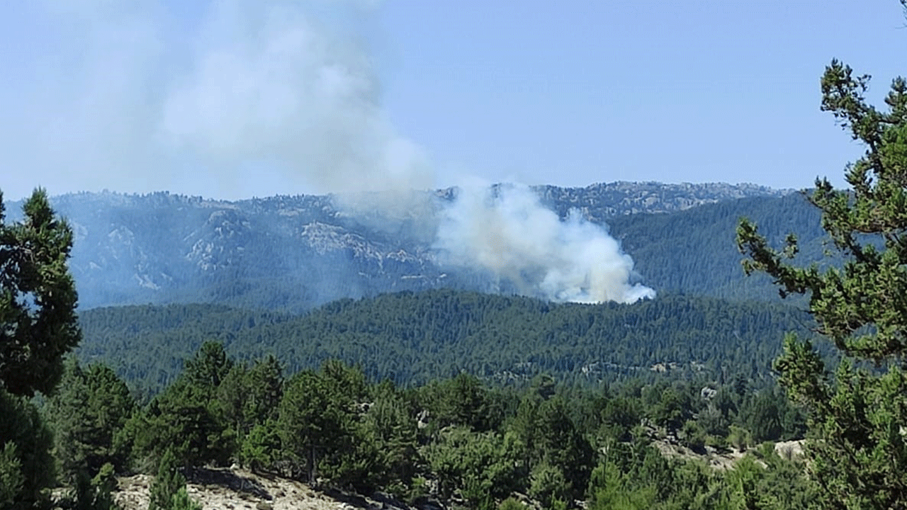Mersin'de orman yangını: Havadan ve karadan müdahale ediliyor