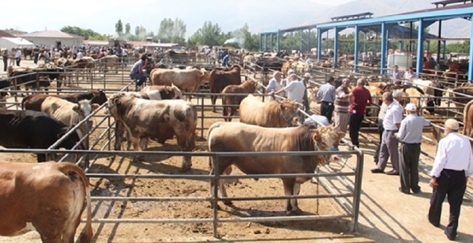 Mersin’de polisten kurban satıcılarına 'sahte para' uyarısı