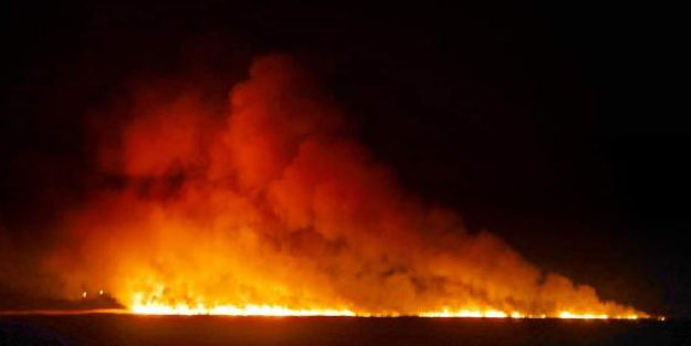 Mersin'de Ramsar Sözleşmesi’yle korunan deltada yangın