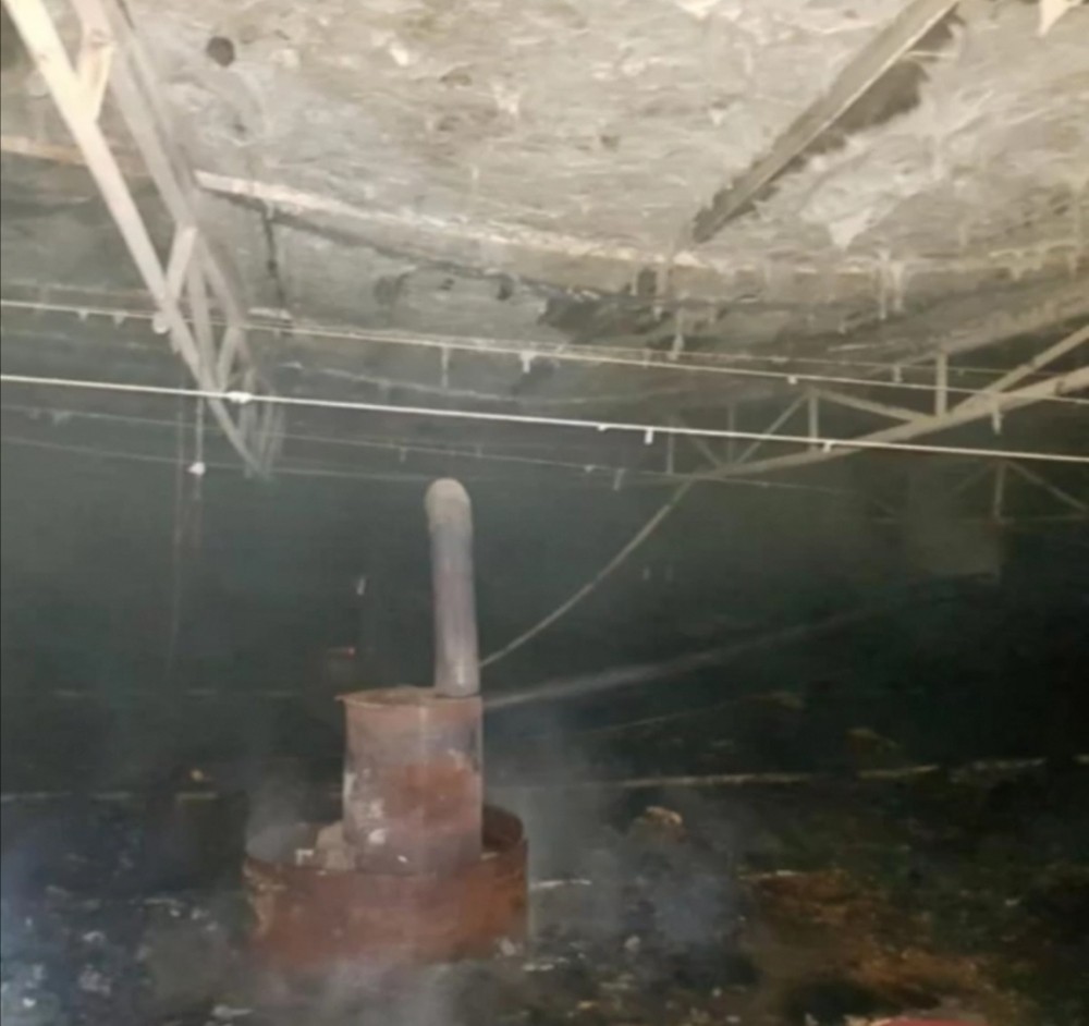 Mersin’de tavuk çiftliğinde yangın 