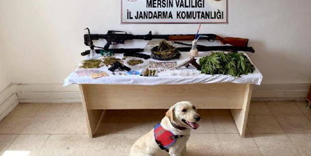 Mersin'de torbacı operasyonu! Gözaltılar var