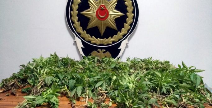 Mersin'de uyuşturucu operasyonu!