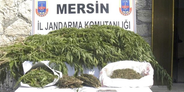 Teröriste'de zehir tacirine'de geçit yok