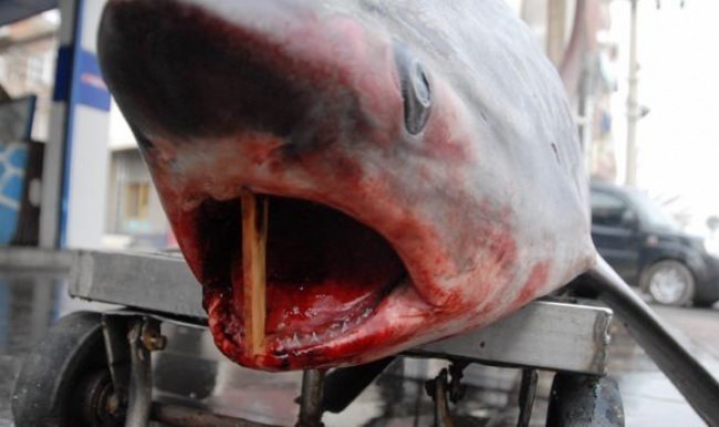 Mersin'de yakalandı! Tam 200 kilo...