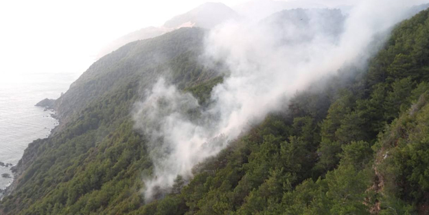 Yıldırım düşen ormanlık alanda yangın çıktı