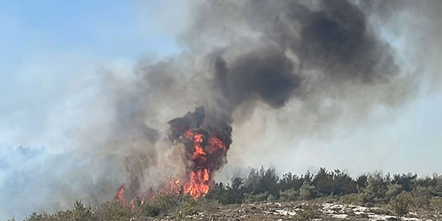 Mersin'de yine orman yangını!