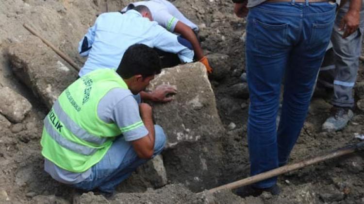Mersin'de yol çalışması sırasında bulundu! Esnaf peşini bırakmadı..