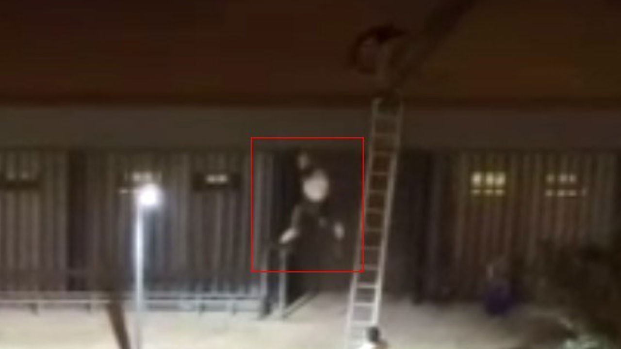 Mersin’deki konseri kaçak izleyen gençleri dövüp çatıdan atan özel güvenlik tutuklandı