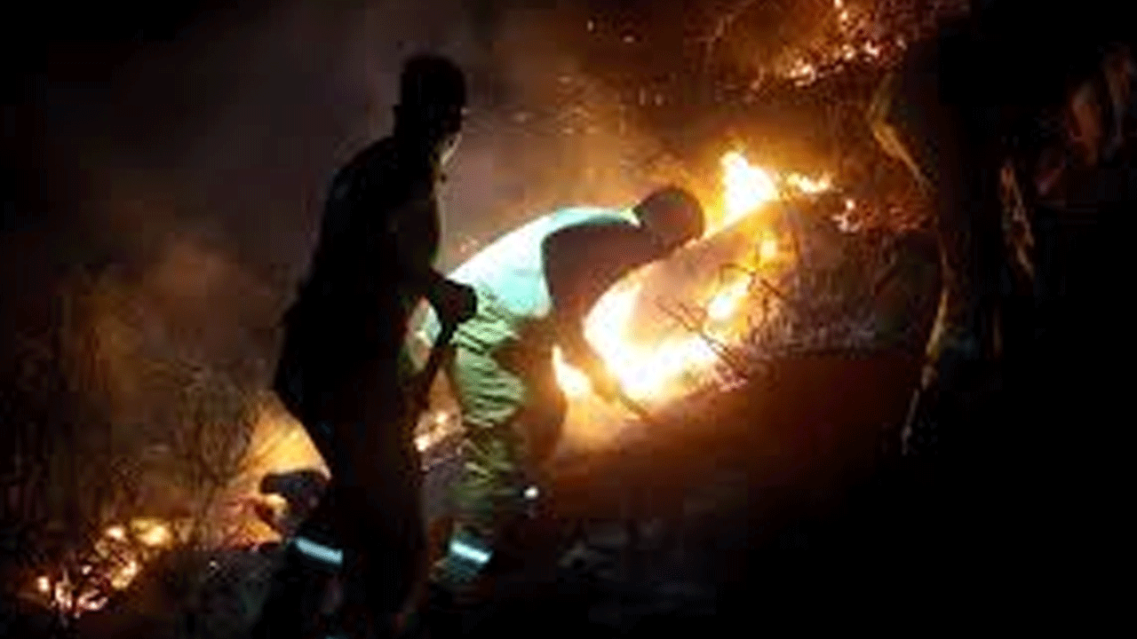 Mersin'deki orman yangını kısa sürede kontrol altına alındı!