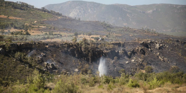 Mersin'deki orman yangınından güzel haber
