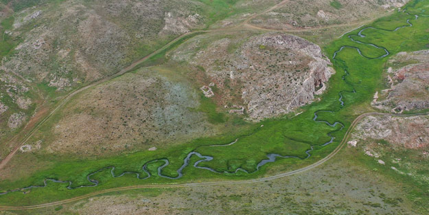 Mersin'den çıkıyor! Anti mikrobiyal olduğu tescillendi... Yurtdışında 500 dolara satıyorlar
