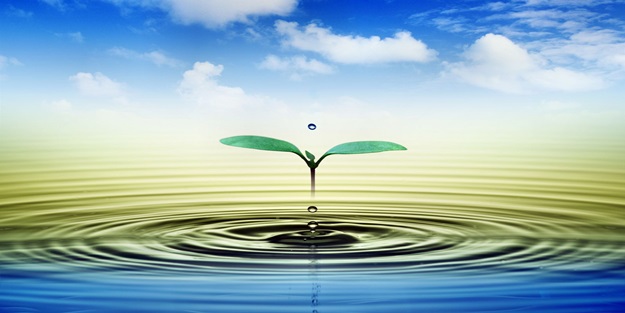 Metabolizmayı hızlandırmak için 4 öneri