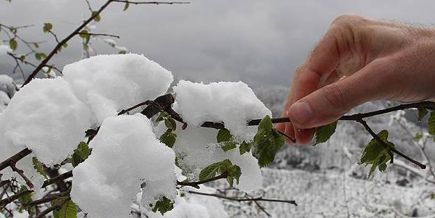 Meteoroloji gün verip uyardı! Bu illerde yaşayanlar dikkat