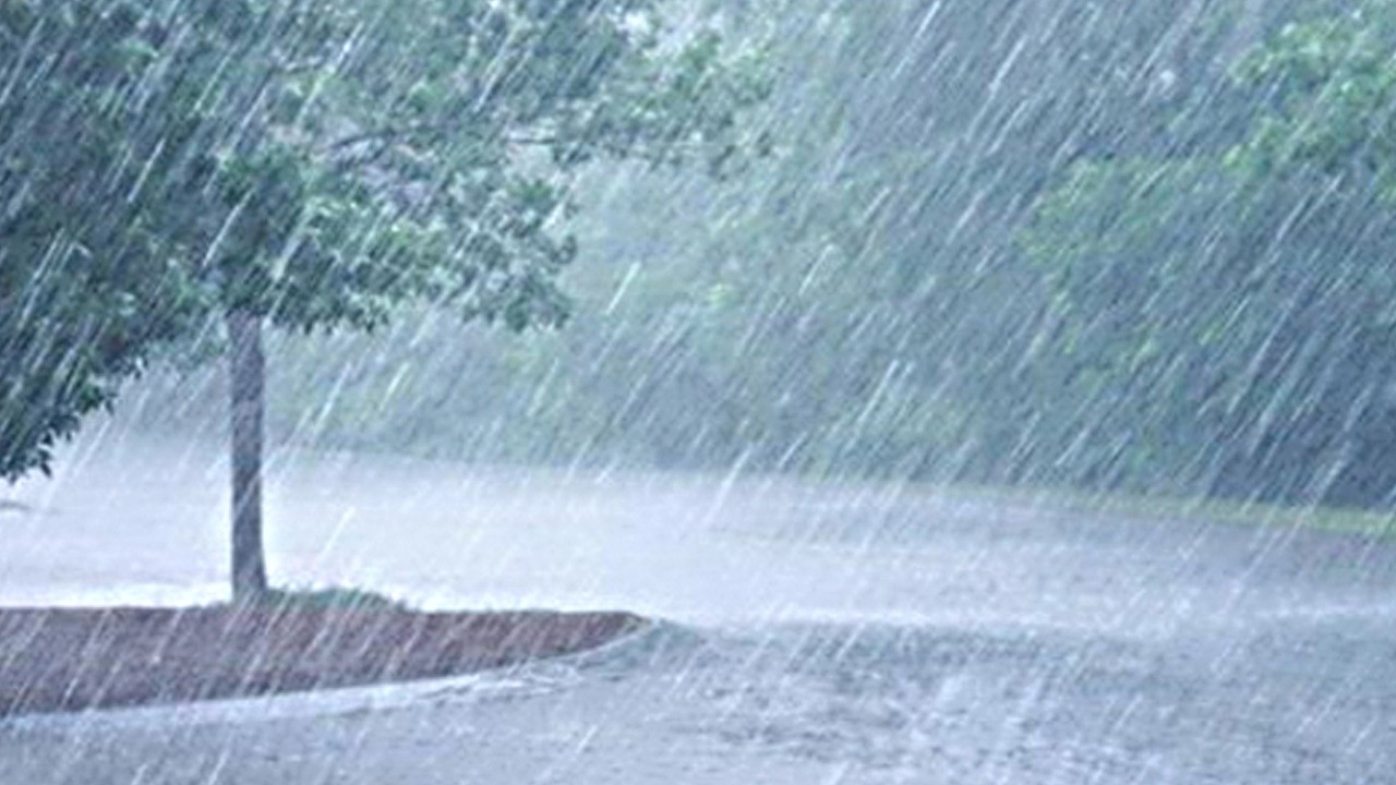 Meteoroloji Türkiye'yi uyardı: O bölgeler şiddetli yağış, sis ve çığ tehlikesi ile karşı karşıya