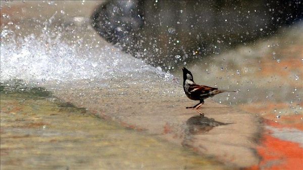 Meteoroloji uyarı yaptı! O illerde sıcaklık 10 derece artacak