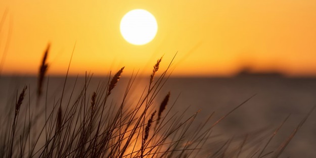 Meteoroloji uzmanı uyardı: Çarşambadan itibaren artacak