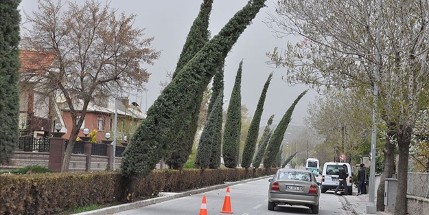 Meteorolojiden 5 il için fırtına uyarısı