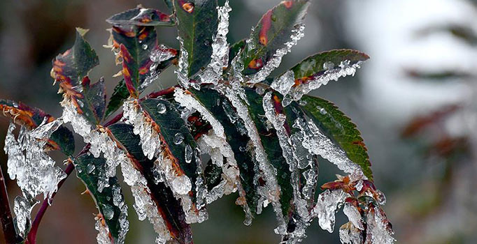 Meteorolojiden 5 ile don uyarısı geldi