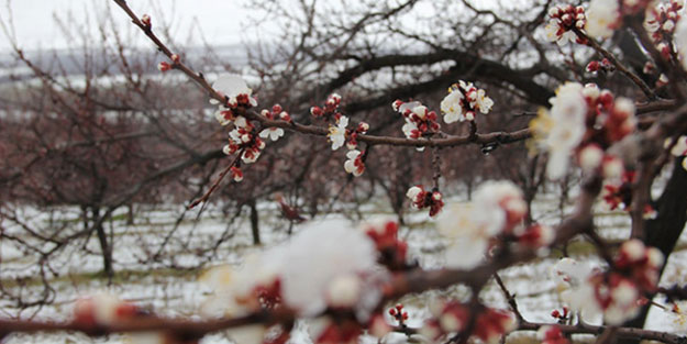 Meteoroloji'den çiftçilere uyarı!