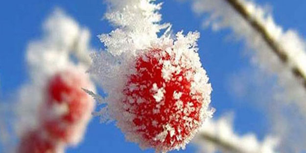 Meteorolojiden çiftçiye önemli uyarı!
