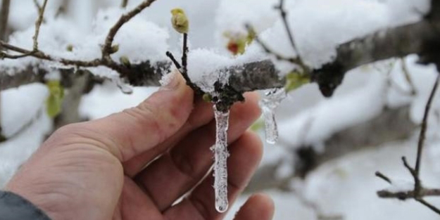 Meteorolojiden 4 ile 'zirai don' uyarısı