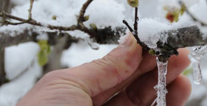 Meteoroloji'den o illere uyarı