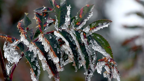Meteoroloji'den önemli uyarı! Bu gece ve sabah saatlerine dikkat