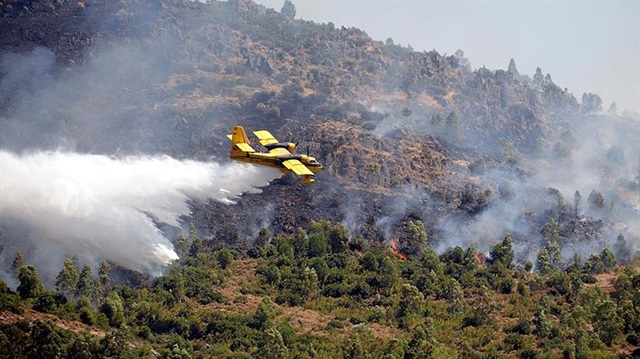 Meteoroloji'den 'orman yangını' uyarısı yapıldı