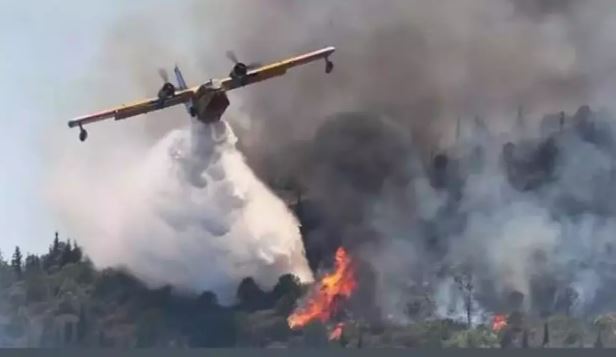 Meteoroloji'den orman yangınları uyarısı