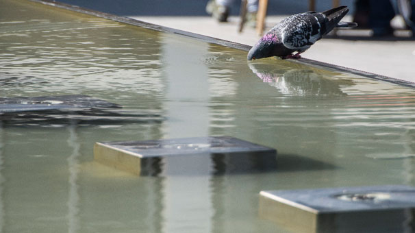 Meteoroloji'den son dakika sıcaklık uyarısı!