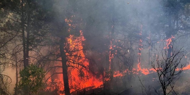 Meteorolojiden vatandaşlara kritik yangın uyarısı