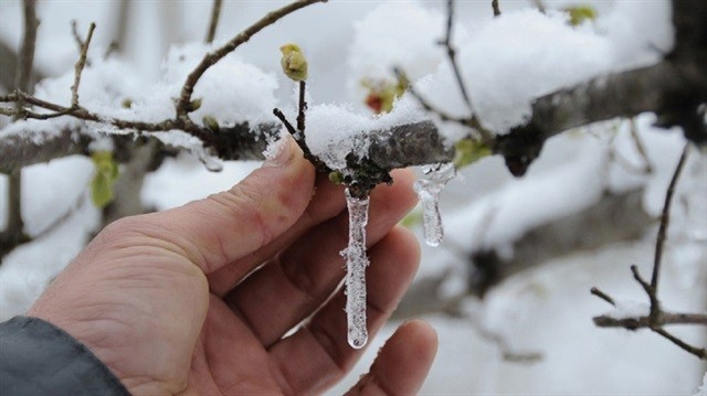 Meteoroloji’den ’Zirai don’ uyarısı 