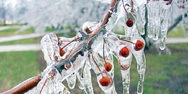 Meteorolojiden zirai don uyarısı