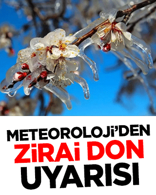 Meteorolojiden zirai don uyarısı