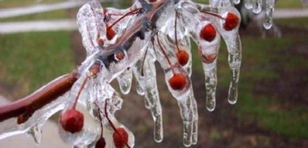 Meteorolojiden zirai don uyarısı