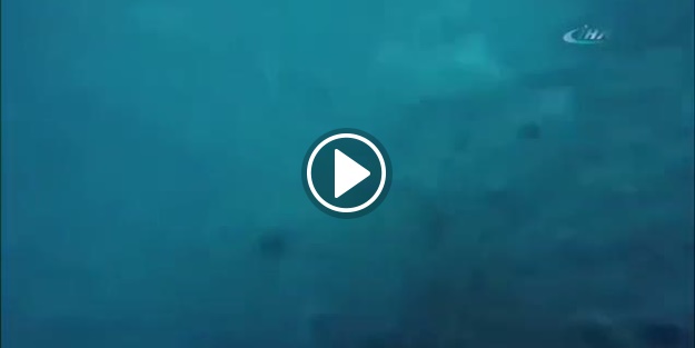 Metrelerce yüksekten havuza atladı