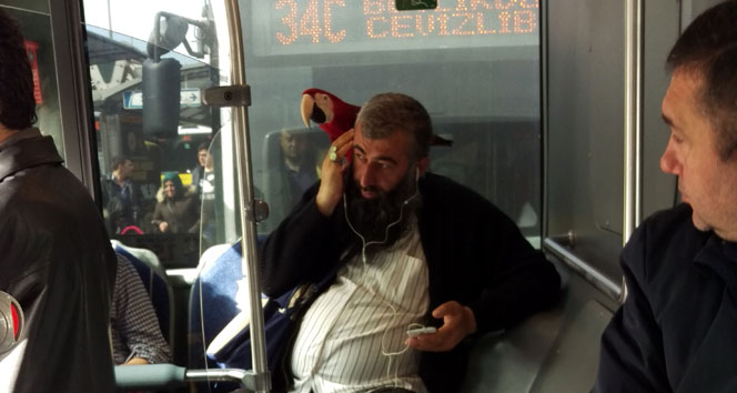 Metrobüste papağanlı yolculuk