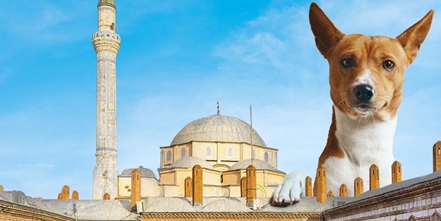 CHP’li başkanın bu yaptığını Yunan yapmadı!