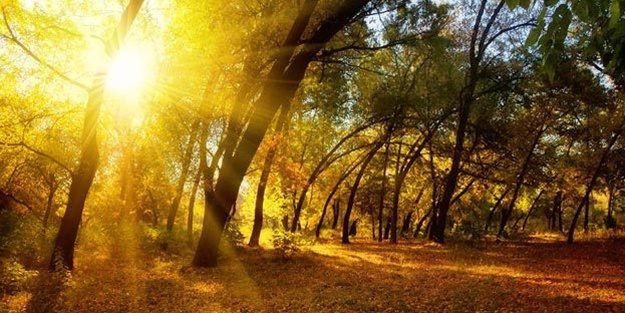 Mevsim geçişlerinde sağlıklı kalmanın 3 yolu!