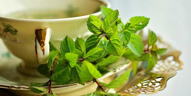 Mevsim hastalıklarından korunmak için bitki çayı tarifi